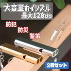 ホイッスル 2個セット 笛 警笛 防災 バスケ サッカー スポーツ キーホルダー 審判 大音量 薄型 運動会 キャンプ 小さい 熊よけ バレーボール