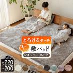 敷きパッド ファミリーサイズ 220×200cm 暖かい あったか マイクロファイバー とろけるタッチの敷パッド ベッドパッド 丸洗い