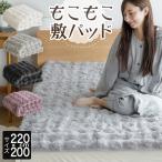 敷きパッド ファミリー220 もこもこ敷パッド 220×200cm あったか 冬用 抗菌 防臭 防ダニ 滑り止め付 洗える ベッドパッド