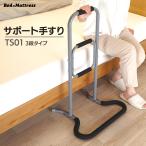 サポート手すり らくらく立ち上がり サポートスタンド  TS01 グレー