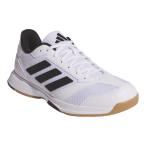 adidas Adidas LIGRA 8 Индия a/ LIGRA INDOOR JI1505 foot одежда белый / core черный / foot одежда белый гандбол * доджбол обувь 
