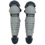  Pro Mark RGT-65SVNV в общем для софтбола легализация catcher щитки бейсбол * софтбол PROMARK серебряный x темно-синий 