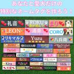 【2枚1組】ネームタグ 犬 ワンちゃん ドッグ ドックタグ カスタマイズ パーソナライズ ハーネス ラベル 名前入れ 名入れ ネーム入り Julius-K9 ユリウス