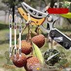  обрезка на высоком месте basami3m 4m 5m эластичный тип высота ветка порез . пила имеется эластичный тип обрезка . высота ветка . высота ветка для SK5 высоты садовые ножницы futoshi ветка порез . ветка порез . ветка разделение обрезка на высоком месте . универсальный ножницы 