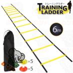  тренировочная лестница указатель-конус 10 шт имеется фитнес упаковочный пакет 6m футбол бейсбол баскетбол теннис наземный ... высокая мощность ... легкий Work наружный ученик начальной школы ребенок 