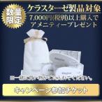ケラスターゼ製品7000円以上購入者様限定プレゼント