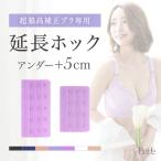 ブラジャーホック ブラジャー 延長ホック 脇高ブラ用 フック ホック 4段 5段 ほっく ふっく フック