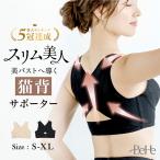 ショッピング女性用 姿勢矯正 インナー 猫背矯正 ブラ ベルト 女性用 背筋 サポーター バストアップ 盛れる 補正ブラ 背筋 サポート 巻き肩 痛くない メッシュ レディース 肩こり