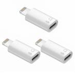[3 шт. комплект ] iPhone соответствует OTG USB-C Type-C изменение адаптер данные пересылка маленький размер HDD жесткий диск 
