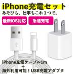 iPhone 充電器 急速 コンセント ケーブル アダプタ セット 充電ケーブル ライトニング iPad  1m 送料無
