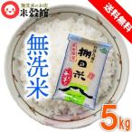 米 5kg 無洗米 送料無料 九州 大分県玖珠九重産「棚田米」令和7年産