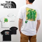THE NORTH FACE ノースフェイス Tシャツ メンズ 半袖Tシャツ ボックス ロゴ バックプリント アウトドア NF0A8B0C