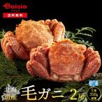  шерсть ..350g передний и задний (до и после) ×2 хвост | Hokkaido производство четырёхугольный волосатый краб шерсть . Boyle 1 хвост 350g передний и задний (до и после) бесплатная доставка Hokkaido прямая поставка подарок краб . краб морепродукты ваш заказ гурман .. для подарок по случаю конца года подарок на Bon Festival .
