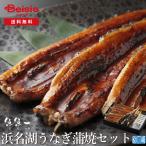 ショッピングうなぎ 父の日 魚魚一 浜名湖うなぎ蒲焼（セット） | うなぎ 蒲焼 浜名湖 セット 国産 冷凍 父の日 母の日 敬老の日 プレゼント グルメ お取り寄せ 静岡 浜松 贈り物 うなぎ蒲