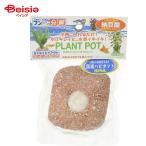  собака year eko Vaio блок растения pot домашнее животное 