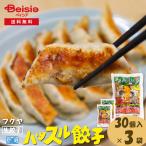 ショッピング餃子 フクヤのハッスル餃子（生餃子）30個入×3袋