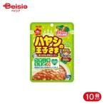 エスビー食品 S&B ハヤシの王子さま レトルト 70g 10個