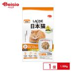 その他キャットフード