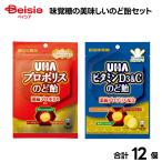 味覚糖の美味しいのど飴セット | のど飴 個包装 アソート 詰め合わせ 予防 乾燥対策 声優 イベント ライブ 喉ケア リフレッシュ 花粉症対策 飴 キャンディ まと