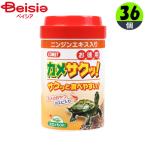 ito acid комета добродетель для черепаха sak!130g