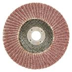 E−Value ペーパーサンダー 100x15mm ＃100 先端工具 ジスク 両頭アクセサリ ペーパー スポンジサンダー