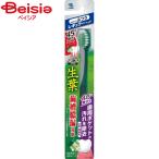 小林製薬 生葉45°磨きブラシレギュラーふつう