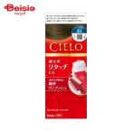  сигнал You Cielo краситель для волос EX крем 4A пепел Brown 