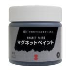 ターナー マグネットペイント MG170031 170ml 資材 塗