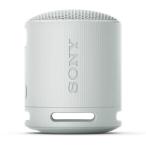 sony динамик Sony Bluetooth беспроводной портативный SRS-XB100 HC светло-серый 