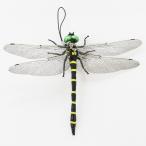 .yama ремешок hiro корпорация HDL-3440