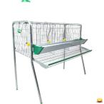 ( клиент самостоятельно сборка 6000 иен . скидка ). яйцо для курица bata Lee Kei ji3 перо для 