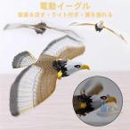  Eagle кайт насекомое сопутствующие товары птица ..kalas голубь .. птица .. advanced птица .. садоводство защита от птиц защита от животных оборудование орнамент для бытового использования для бизнеса повседневный используя компактный легкий в использовании многоцелевой 