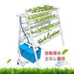 水耕栽培キット72穴家庭菜園野菜栽...