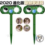  защита от кошек сенсор кошка .. advanced эволюция версия аукстический животное .. контейнер вредитель меры солнечный тип ... птица . меры мышь .. птица исключая . вредитель .. салон наружный товары для домашних животных 