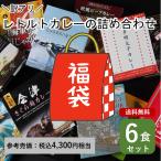 訳あり フードロス レトルトカレー 福袋  おまかせ 6個セット 詰め合わせ ご当地カレー レトルト カレー