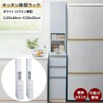 隙間収納 キッチンラック キッチンボード 調味料入れ 食器棚 20cm 25cm スリム キッチン収納 スリムストッカー ランドリー収納 サニタリー C/25×40 F20×55