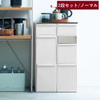 分別ダストボックス 高さが揃う 縦型 日本製 2段セット ノーマル ダストボックス ゴミ箱 分別 ふた付き セット キッチン スリム 縦型 大容量