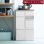 分別ダストボックス 高さが揃う 縦型 日本製 2段セット スイング扉 ダストボックス ゴミ箱 分別 ふた付き セット キッチン スリム 縦型 大容量