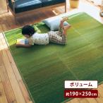 ラグ カーペット ラグマット 夏用ラグ い草ラグ 夏 マット エリアラグ エリアマット い草 夏用 夏ラグ 抗菌 防臭 制菌 コンパクト おしゃれ ボリューム 190×250