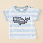 ボーダークジラ半袖Tシャツ 80 90 95