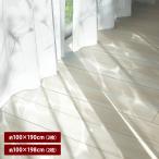 カーテン レースカーテン ミラーレースカーテン ファブリック インテリア 影 海の中 ナチュラル シンプル リビング ダイニング 幅約100 2枚 おしゃれ