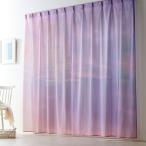 ショッピングレースカーテン カーテン レースカーテン ミラーレース レース UVカット リビング ダイニング ノスタルジックデザイン シンプル おしゃれ 夏カーテン 幅約200cm 1枚