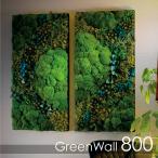  preserved flower # green wall [800] flower moss green ornament interior entrance Moss ..kokemoss building interior design [ shipping :15 business day ]