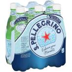 サンペレグリノ (S.PELLEGRINO) 炭酸水 PET 500ml 直輸入品 ×36本