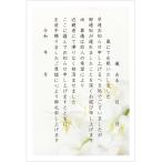 .. сообщение открытка приветствие форма 10 листов ( знак довольно большой ) струйный соответствует я производства открытка Alpha принт сервис (S-ST108 стандартный . бабочка орхидея )