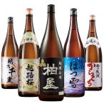 日本酒 父の日 普通酒 特割 越乃五