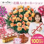 母の日 早割 プレゼント 花 2024 贈答 ギフト カーネーション 花鉢 鉢植え スイーツ 洋菓子 5号 フロランタン 長崎 カステラ 【ギフト対象商品】