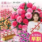 ショッピングベルーナ 母の日 プレゼント 花 2024 贈答 ギフト カーネーション 花鉢 鉢植え スイーツ 洋菓子 5号 さくらもなか 長崎 カステラ 【ギフト対象商品】