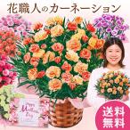 早割 母の日 プレゼント 花 2026 予約 ギフト カーネーション 花鉢 鉢植え フロランタン 5号 母の日期間お届け 【送料無料】