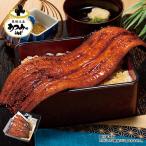 うなぎ 蒲焼き 長焼き 国産 お中元 御中元 うなぎ蒲焼き メガサイズ 愛知県 三河産 うなぎ蒲焼 180g 5尾 2025 【送料無料】